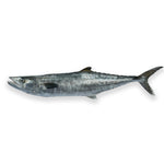 Kingfish Whole