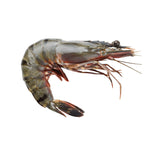 Black Tiger Shrimp Whole