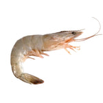 Vannamei Shrimp Whole
