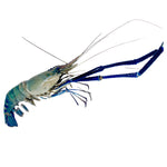 Whole Giant Freshwater Prawn