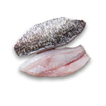 Barramundi Fillets