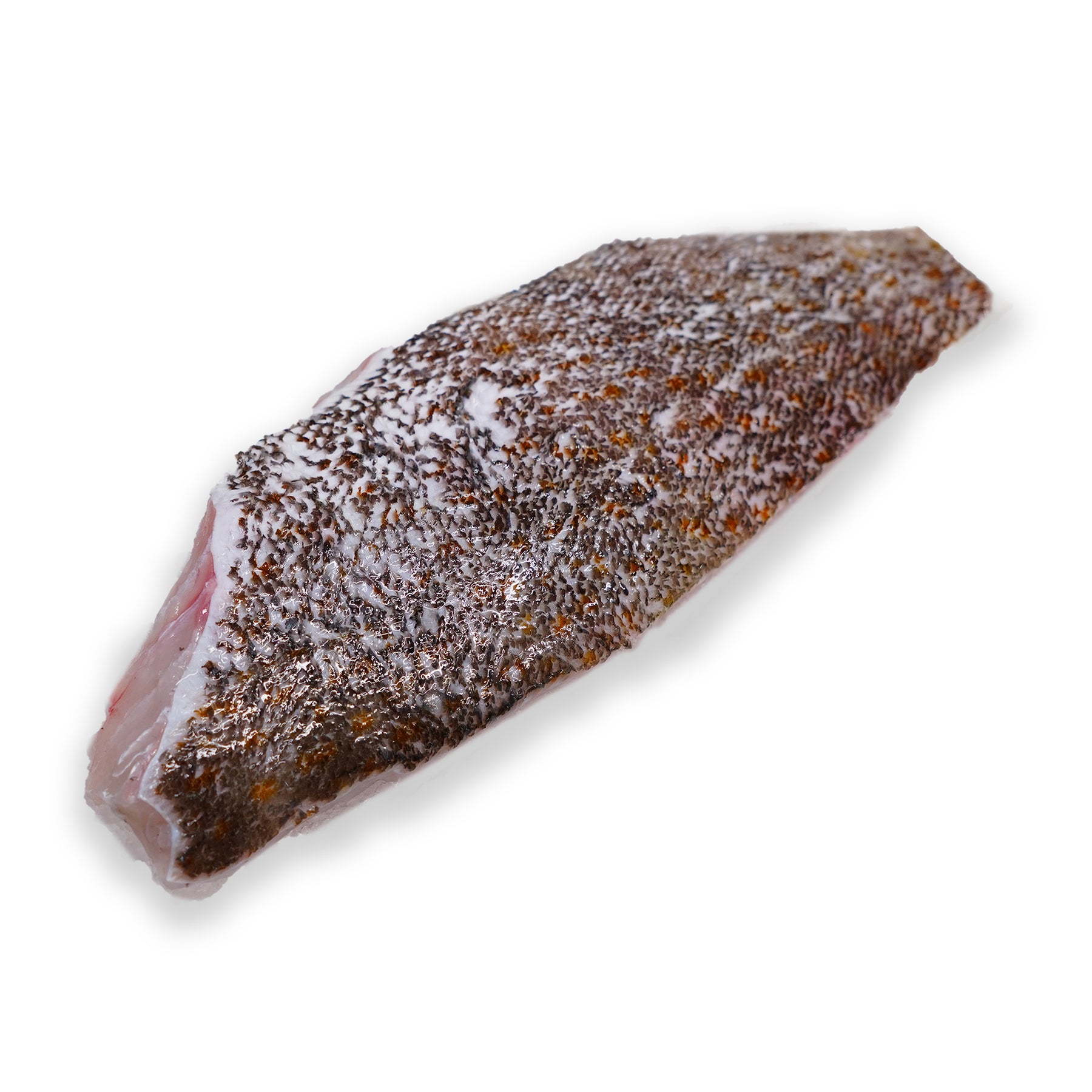 Grouper Fillets– Fish Tales LK