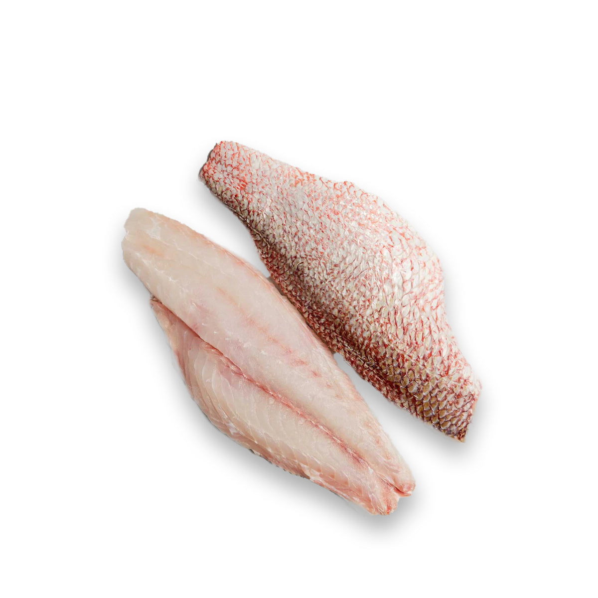 Red snapper Fillets
