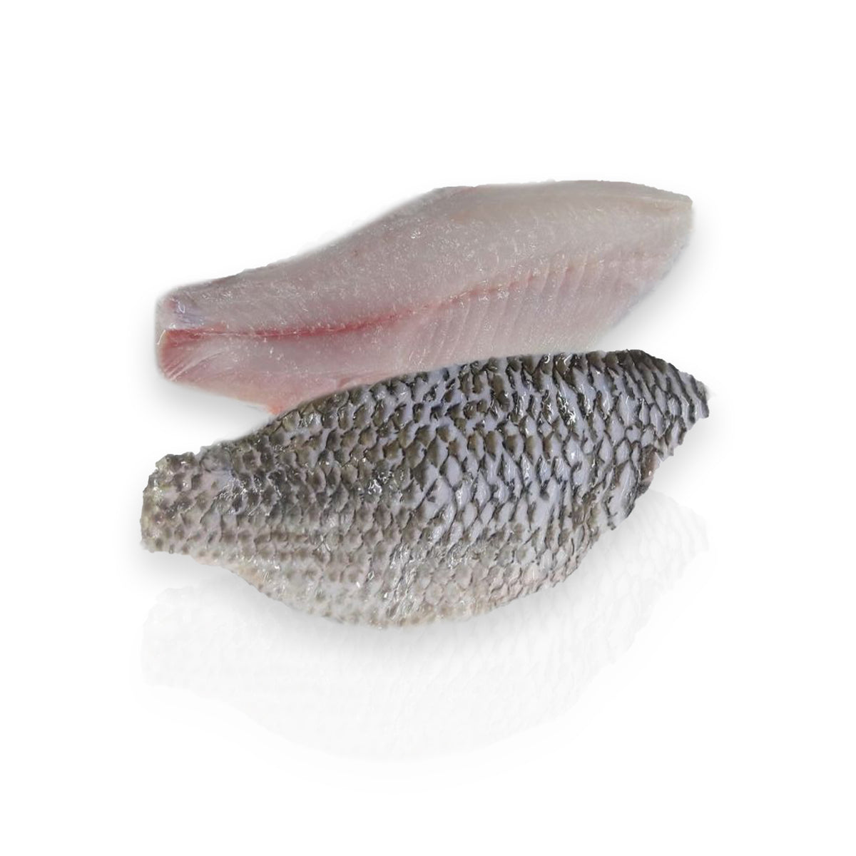 Tilapia Fillets