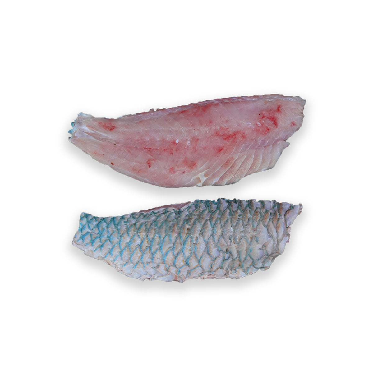 Parrot fish Fillets